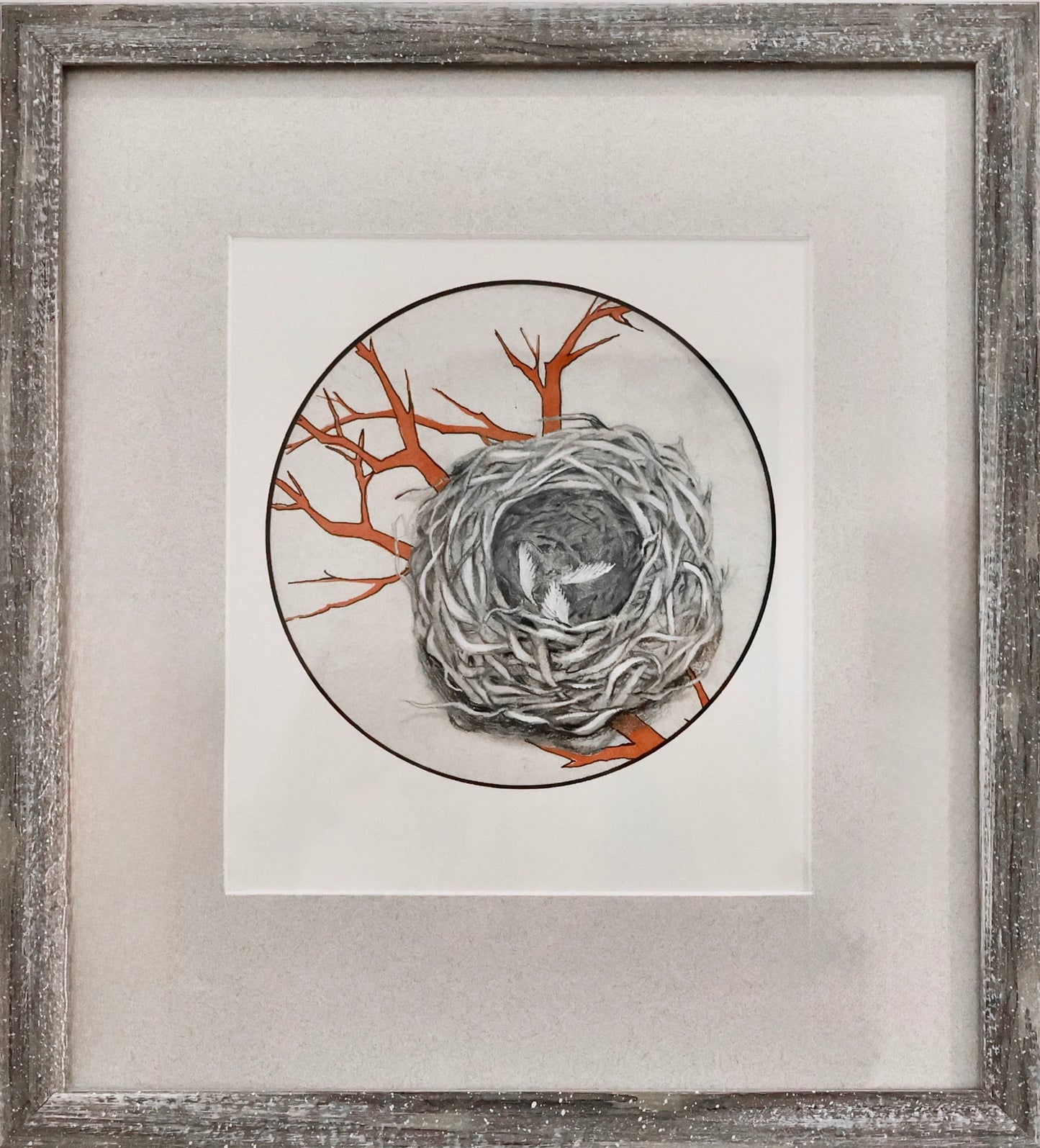 Flown The Nest