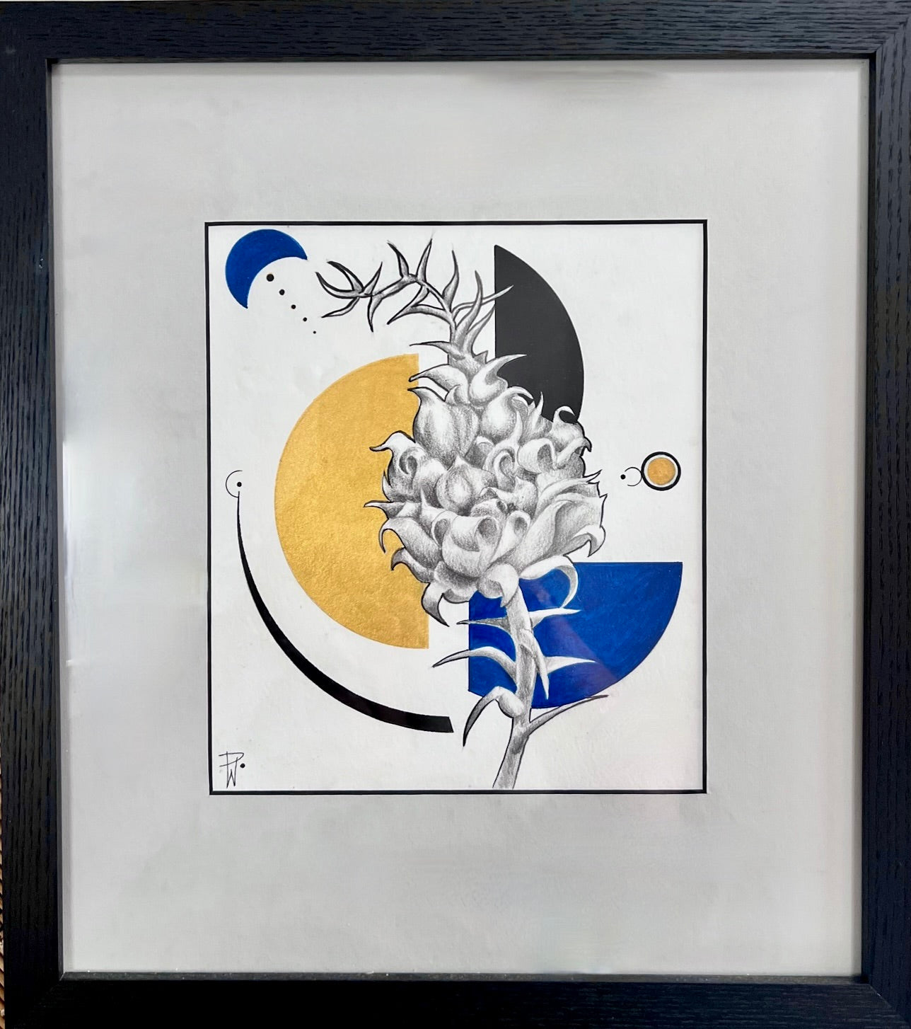 Botanic Geometry